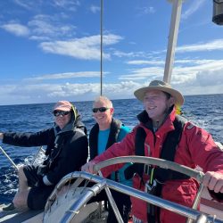 helming in the canaries