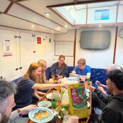 Belfast Exploration Voyage