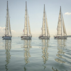 COPYRIGHT SALLY GOLDEN