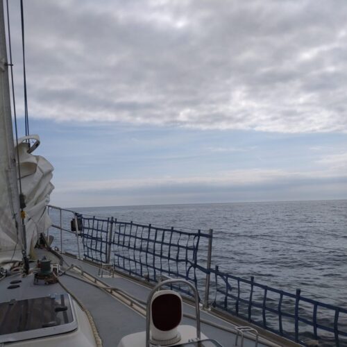IMG 20250831 WA0047