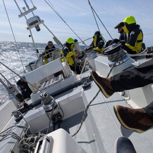Lara helming