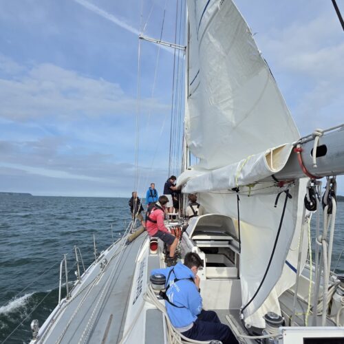 IMG 20260813 WA0124